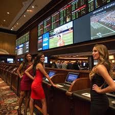 Privacy guidance displayed near the bd 678 live casino member access journey